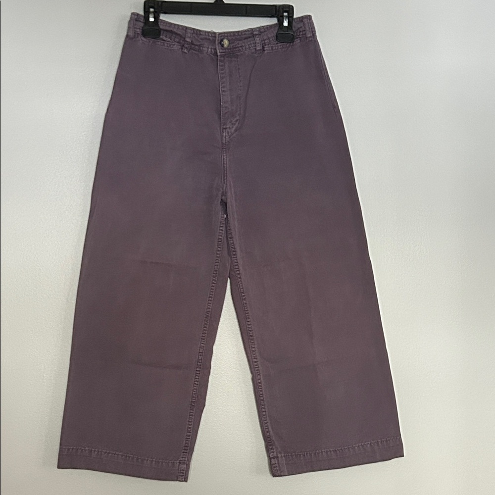 We The Free Wide Leg Purple Barrel Pants size 30